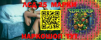 крисы Кимры