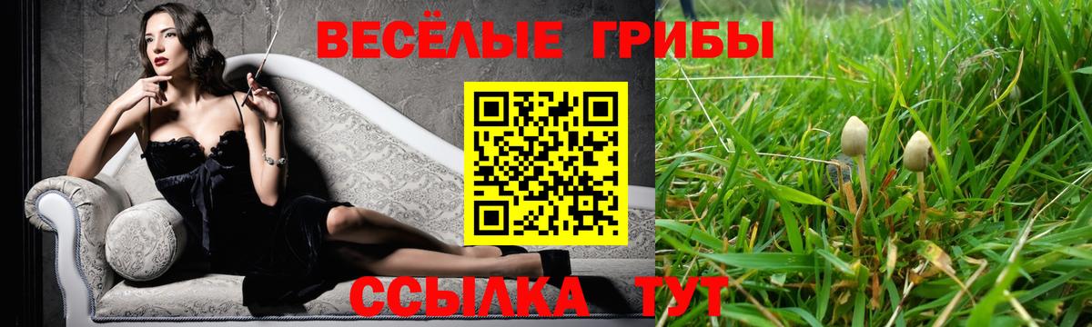 Псилоцибиновые грибы прущие грибы  Вход с VPN  Галлюциногенные грибы GOLDEN TEACHER  Когалым 